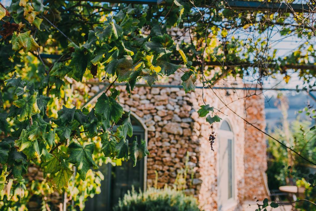 Tur Sinai Organic Farm Resort Jerusalem Ngoại thất bức ảnh