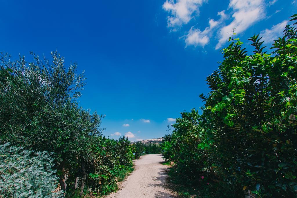 Tur Sinai Organic Farm Resort Jerusalem Ngoại thất bức ảnh