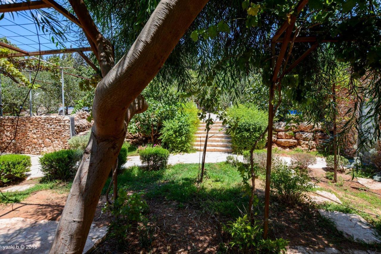 Tur Sinai Organic Farm Resort Jerusalem Ngoại thất bức ảnh