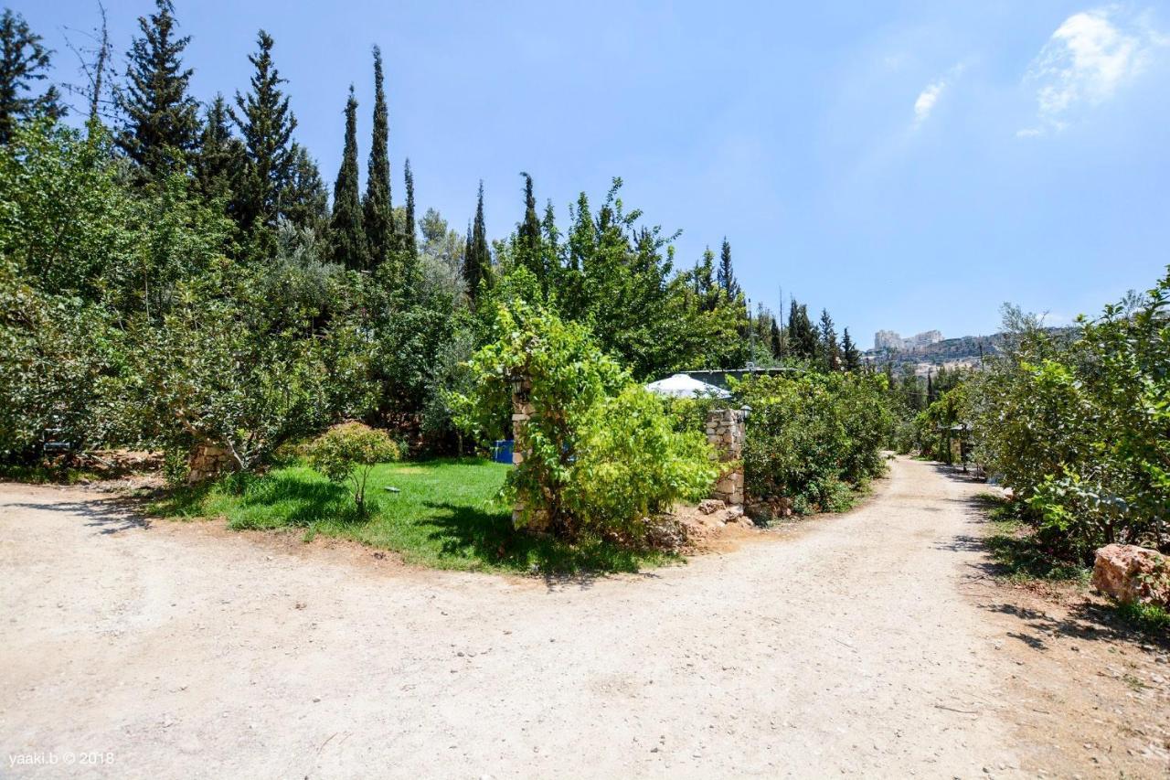 Tur Sinai Organic Farm Resort Jerusalem Ngoại thất bức ảnh