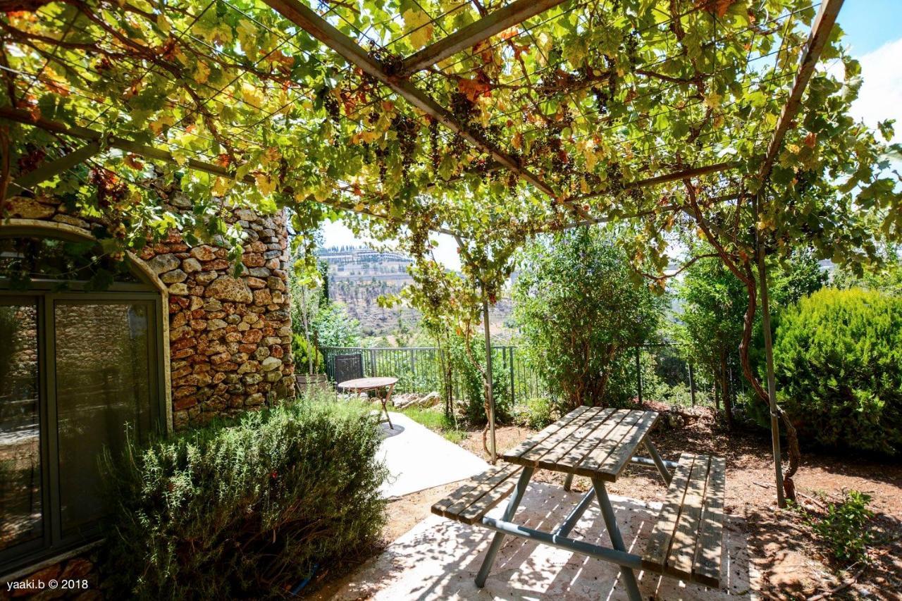 Tur Sinai Organic Farm Resort Jerusalem Ngoại thất bức ảnh