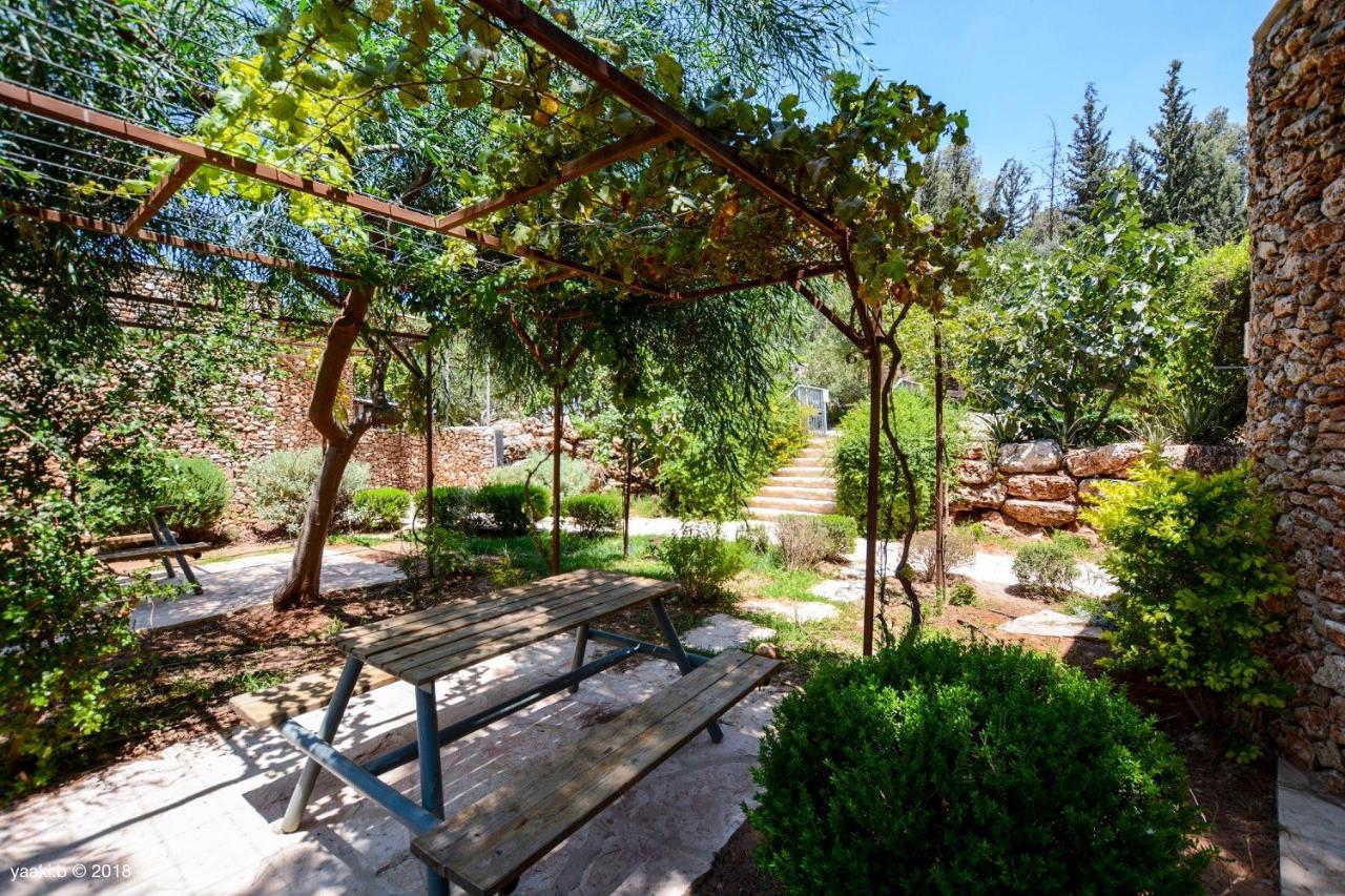 Tur Sinai Organic Farm Resort Jerusalem Ngoại thất bức ảnh