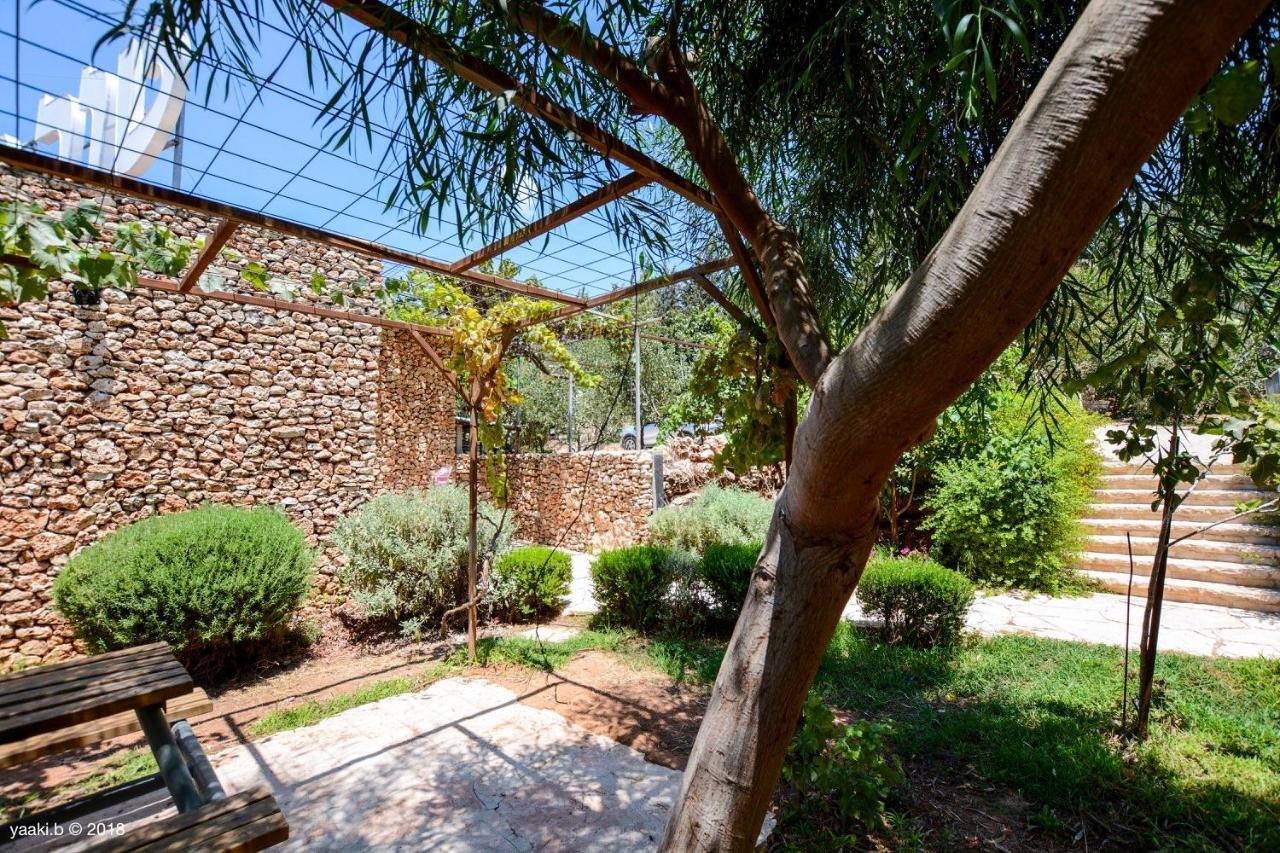 Tur Sinai Organic Farm Resort Jerusalem Ngoại thất bức ảnh